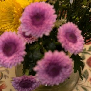 Meet your Posher, Anne